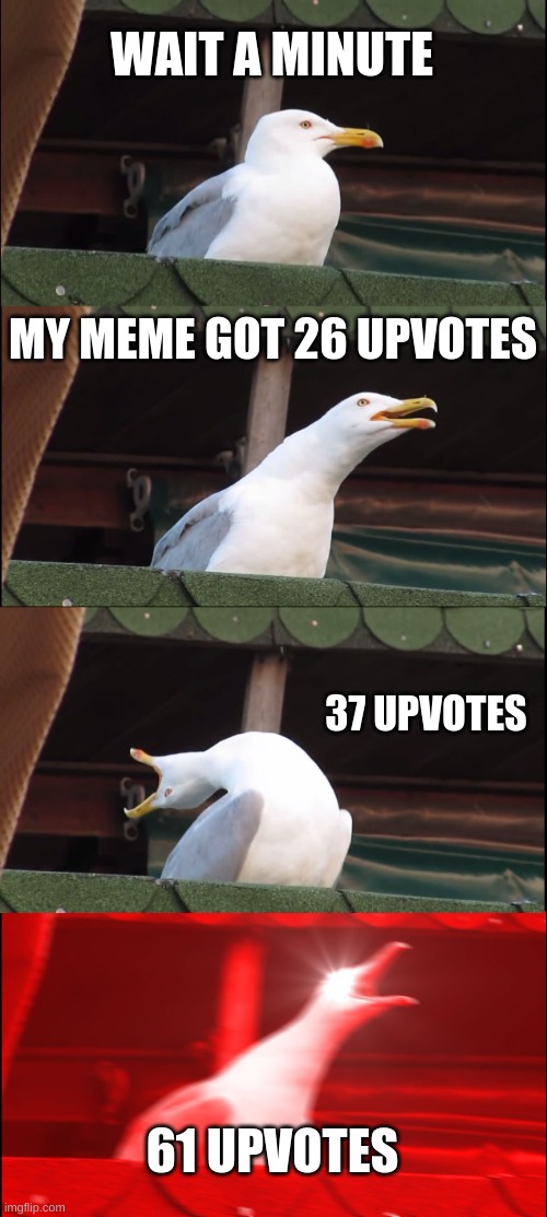 It do be like that sometimes when I make a meme I didn't know was going to get upvotes | WAIT A MINUTE; MY MEME GOT 26 UPVOTES; 37 UPVOTES; 61 UPVOTES | image tagged in memes,inhaling seagull,upvotes,hold uo,wait a minute,thanks | made w/ Imgflip meme maker