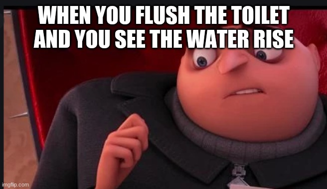 funny get my upvotes up | WHEN YOU FLUSH THE TOILET AND YOU SEE THE WATER RISE | image tagged in funny,memes,funny memes | made w/ Imgflip meme maker