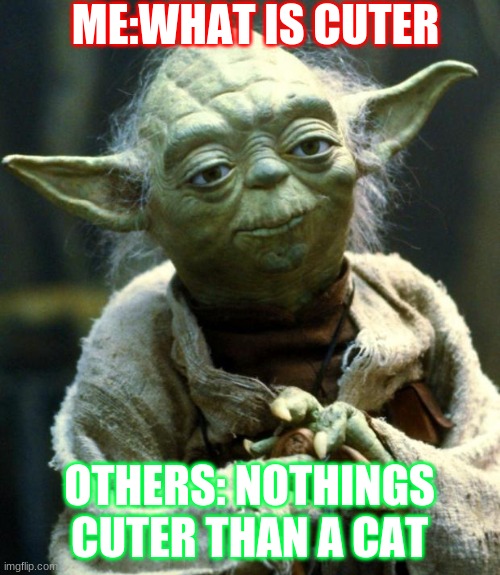 Star Wars Yoda Meme | ME:WHAT IS CUTER OTHERS: NOTHINGS CUTER THAN A CAT | image tagged in memes,star wars yoda | made w/ Imgflip meme maker