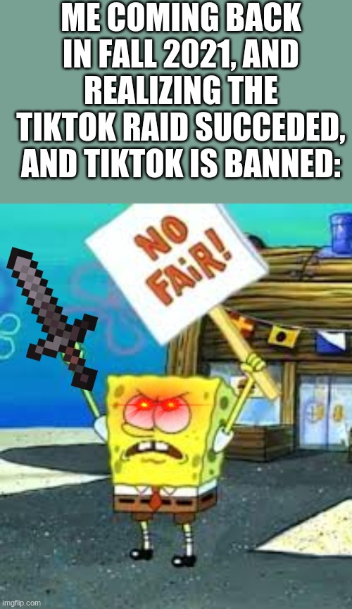 Krusty Krab is unfair | ME COMING BACK IN FALL 2021, AND REALIZING THE TIKTOK RAID SUCCEEDED, AND TIKTOK IS BANNED: | image tagged in krusty krab is unfair | made w/ Imgflip meme maker