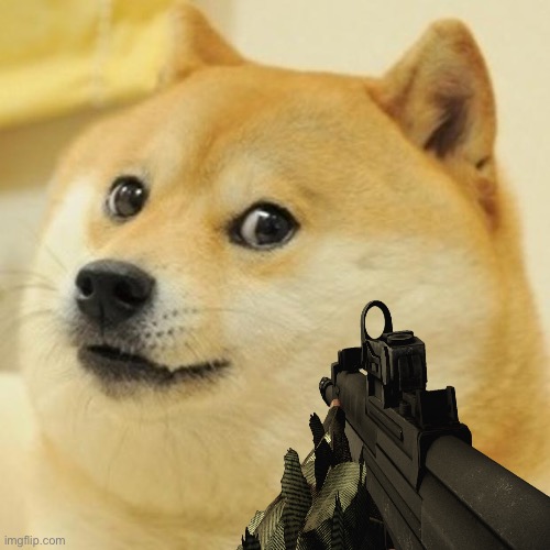 Doge Meme | image tagged in memes,doge,target practice | made w/ Imgflip meme maker