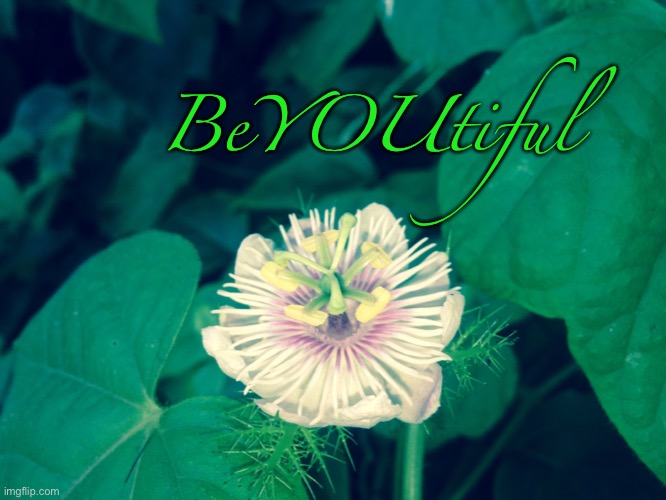 Creation | BeYOUtiful | image tagged in flowers,gods creation | made w/ Imgflip meme maker