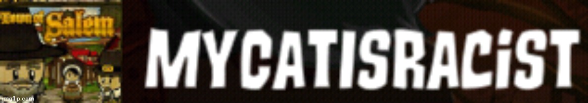 Racist cat | image tagged in racist cat | made w/ Imgflip meme maker