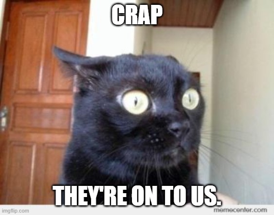 Scared Cat | CRAP THEY'RE ON TO US. | image tagged in scared cat | made w/ Imgflip meme maker