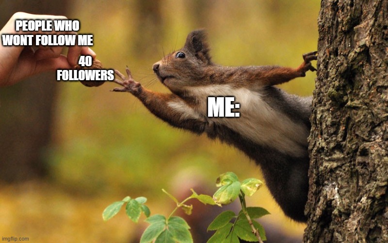 pls help me i want to get to 40 followers before the end of the month | PEOPLE WHO WONT FOLLOW ME; 40 FOLLOWERS; ME: | image tagged in squirrel reaching for nut | made w/ Imgflip meme maker