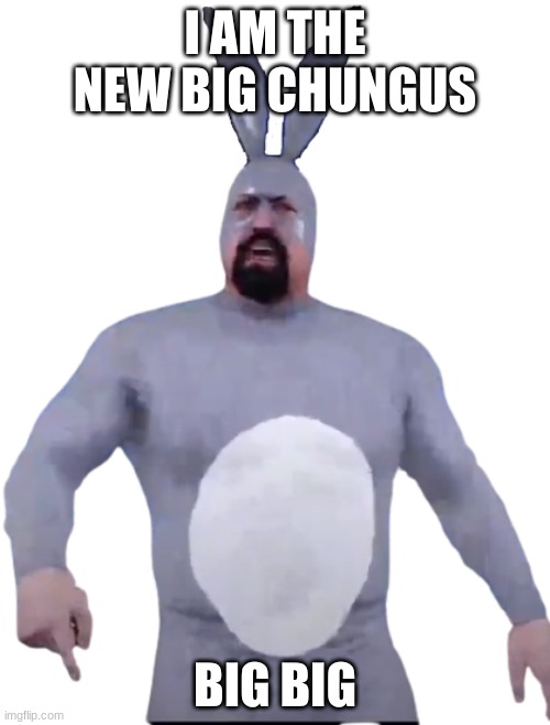 big big chungus | I AM THE NEW BIG CHUNGUS; BIG BIG | image tagged in big big chungus | made w/ Imgflip meme maker