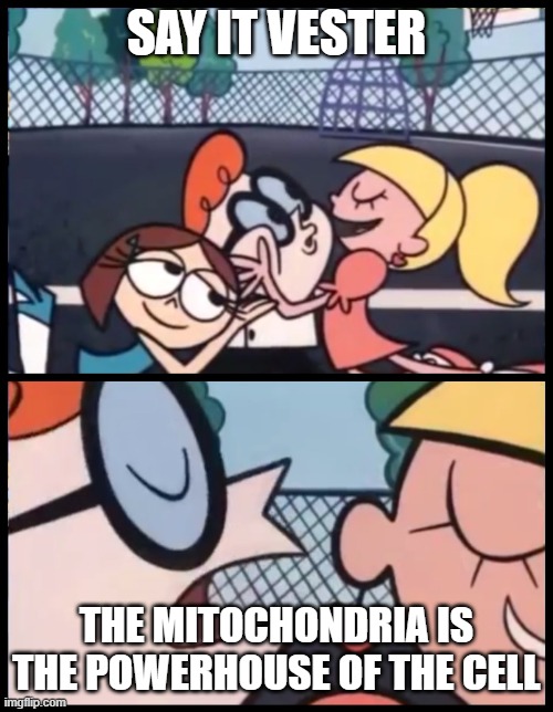 What I learned in school | SAY IT VESTER; THE MITOCHONDRIA IS THE POWERHOUSE OF THE CELL | image tagged in memes,say it again dexter | made w/ Imgflip meme maker