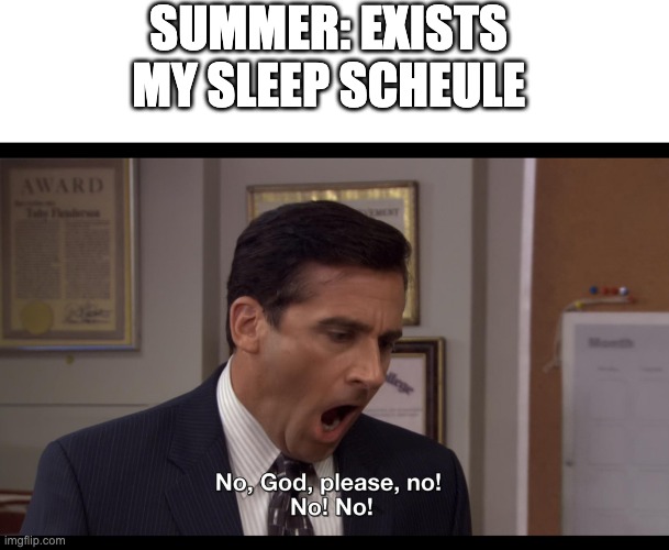 am I wrong | SUMMER: EXISTS 
MY SLEEP SCHEULE | image tagged in no god please no | made w/ Imgflip meme maker