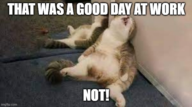not! | THAT WAS A GOOD DAY AT WORK; NOT! | image tagged in nope | made w/ Imgflip meme maker