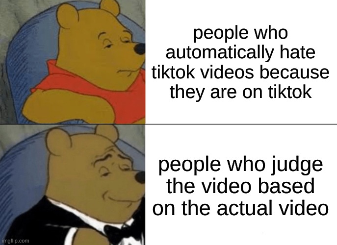 Tiktok Meme | people who automatically hate tiktok videos because they are on tiktok; people who judge the video based on the actual video | image tagged in memes,tuxedo winnie the pooh | made w/ Imgflip meme maker