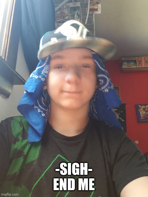 -SIGH-
END ME | made w/ Imgflip meme maker
