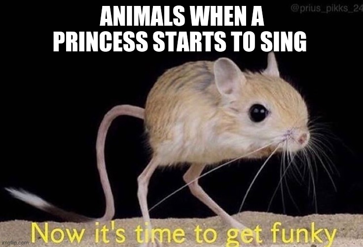 Now it’s time to get funky | ANIMALS WHEN A PRINCESS STARTS TO SING | image tagged in now it s time to get funky | made w/ Imgflip meme maker