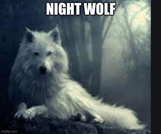  NIGHT WOLF | made w/ Imgflip meme maker