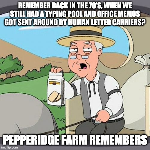 Pepperidge Farm Remembers Meme | REMEMBER BACK IN THE 70'S, WHEN WE STILL HAD A TYPING POOL AND OFFICE MEMOS GOT SENT AROUND BY HUMAN LETTER CARRIERS? PEPPERIDGE FARM REMEMBERS | image tagged in memes,pepperidge farm remembers | made w/ Imgflip meme maker