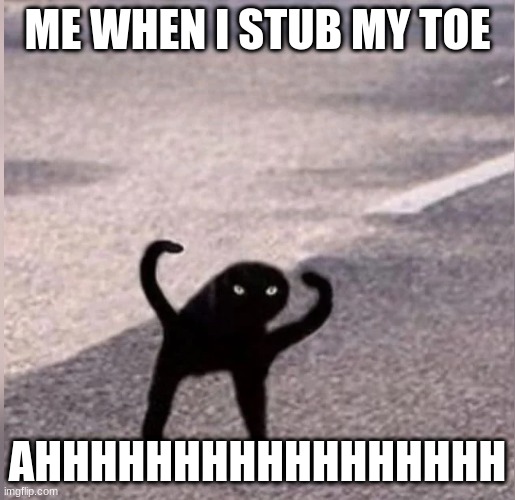 Cursed cat | ME WHEN I STUB MY TOE; AHHHHHHHHHHHHHHHHH | image tagged in cursed cat | made w/ Imgflip meme maker