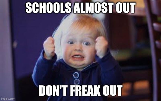 excited kid | SCHOOLS ALMOST OUT; DON'T FREAK OUT | image tagged in excited kid,school,bye | made w/ Imgflip meme maker