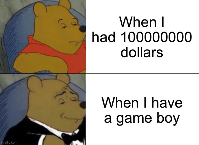 Tuxedo Winnie The Pooh | When I had 100000000 dollars; When I have a game boy | image tagged in memes,tuxedo winnie the pooh | made w/ Imgflip meme maker