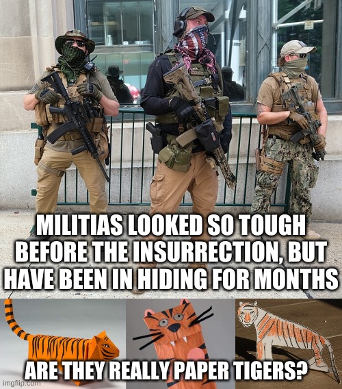 Are the Militias paper tigers? | MILITIAS LOOKED SO TOUGH BEFORE THE INSURRECTION, BUT HAVE BEEN IN HIDING FOR MONTHS; ARE THEY REALLY PAPER TIGERS? | image tagged in american militia,paper tiger,insurrection,trump,capitol riot,republican | made w/ Imgflip meme maker