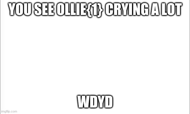 white background | YOU SEE OLLIE{1} CRYING A LOT; WDYD | image tagged in white background | made w/ Imgflip meme maker