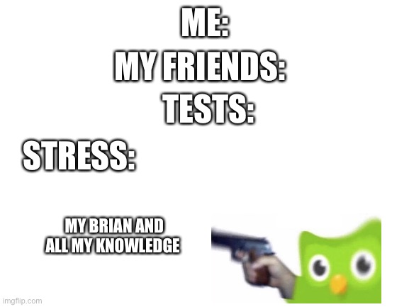 Ahhhhhhhh | ME:; MY FRIENDS:; TESTS:; STRESS:; MY BRIAN AND ALL MY KNOWLEDGE | image tagged in blank white template | made w/ Imgflip meme maker