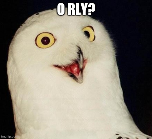 O RLY? | O RLY? | image tagged in o rly | made w/ Imgflip meme maker