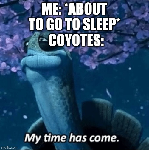 My Time Has Come |  ME: *ABOUT TO GO TO SLEEP*; COYOTES: | image tagged in my time has come | made w/ Imgflip meme maker