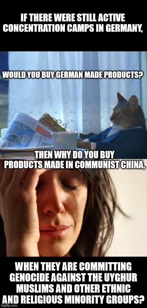 Hypocrisy abounds. | IF THERE WERE STILL ACTIVE CONCENTRATION CAMPS IN GERMANY, WOULD YOU BUY GERMAN MADE PRODUCTS? THEN WHY DO YOU BUY PRODUCTS MADE IN COMMUNIST CHINA, WHEN THEY ARE COMMITTING GENOCIDE AGAINST THE UYGHUR MUSLIMS AND OTHER ETHNIC AND RELIGIOUS MINORITY GROUPS? | image tagged in memes,i should buy a boat cat,first world problems,communist china,genocide,uyghur muslims | made w/ Imgflip meme maker