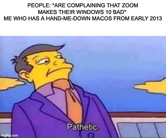 IDK why it works well on a Catalina | PEOPLE: *ARE COMPLAINING THAT ZOOM MAKES THEIR WINDOWS 10 BAD* 
ME WHO HAS A HAND-ME-DOWN MACOS FROM EARLY 2013 | image tagged in skinner pathetic | made w/ Imgflip meme maker