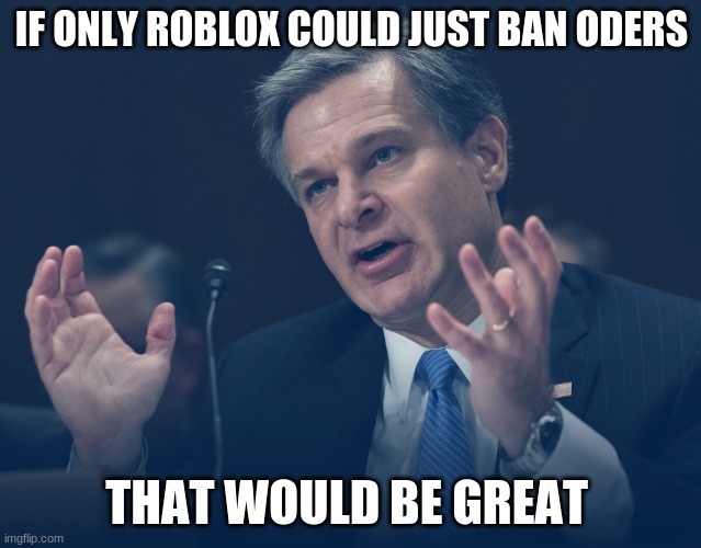 Am i wrong???? | IF ONLY ROBLOX COULD JUST BAN ODERS; THAT WOULD BE GREAT | image tagged in if only you knew how bad things really are,roblox,pls ban | made w/ Imgflip meme maker