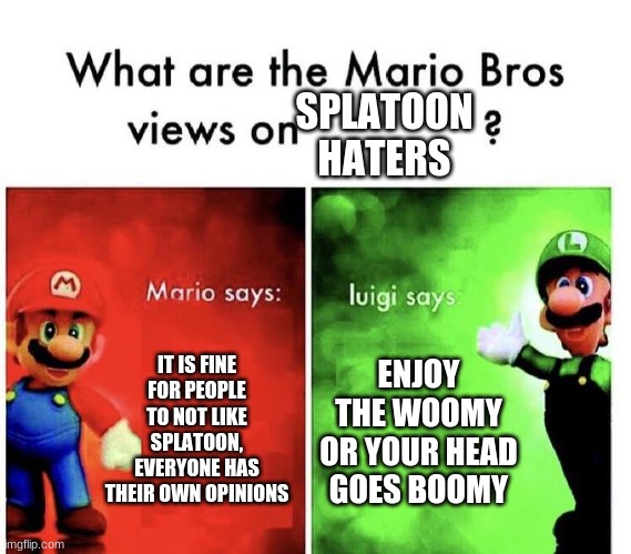 Splatoon Haters. What does mario and luigi think about this | SPLATOON HATERS; IT IS FINE FOR PEOPLE TO NOT LIKE SPLATOON, EVERYONE HAS THEIR OWN OPINIONS; ENJOY THE WOOMY OR YOUR HEAD GOES BOOMY | image tagged in mario bros views | made w/ Imgflip meme maker