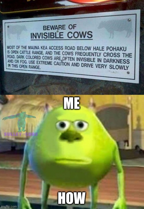 why | ME; HOW | image tagged in monsters inc,funny,haha,why | made w/ Imgflip meme maker