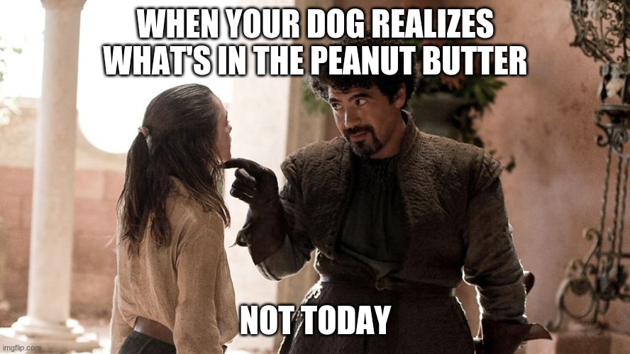 Not Today | WHEN YOUR DOG REALIZES WHAT'S IN THE PEANUT BUTTER; NOT TODAY | image tagged in not today | made w/ Imgflip meme maker