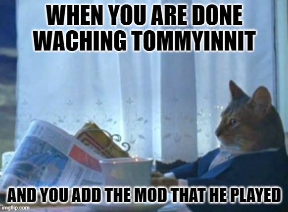 I Should Buy A Boat Cat Meme |  WHEN YOU ARE DONE WACHING TOMMYINNIT; AND YOU ADD THE MOD THAT HE PLAYED | image tagged in memes,i should buy a boat cat | made w/ Imgflip meme maker