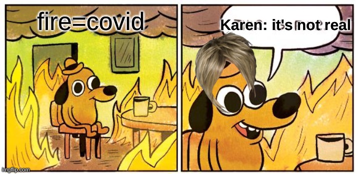 This Is Fine Meme |  fire=covid; Karen: it's not real | image tagged in memes,this is fine | made w/ Imgflip meme maker