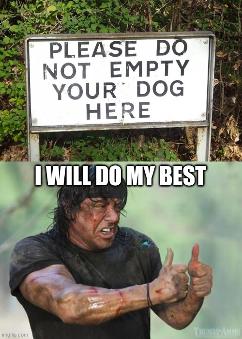 ok but why | I WILL DO MY BEST | image tagged in thumbs up rambo,haha,oh god why | made w/ Imgflip meme maker