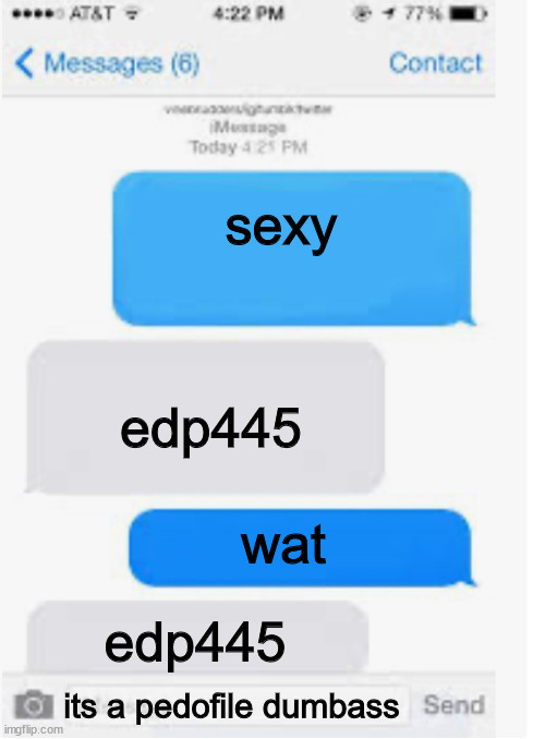 gaming message (during haming time) no lieeeeeeeeeeeeeee | sexy; edp445; wat; edp445; its a pedofile dumbass | image tagged in blank text conversation | made w/ Imgflip meme maker