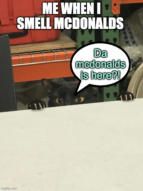 mcdonalds yummy | ME WHEN I SMELL MCDONALDS; Da mcdonalds is here?! | image tagged in memes,funny,mcdonalds,french fries,nuggets,burger | made w/ Imgflip meme maker