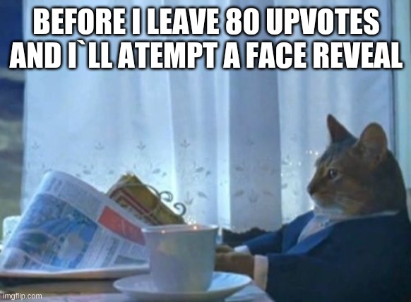 I Should Buy A Boat Cat | BEFORE I LEAVE 80 UPVOTES AND I`LL ATEMPT A FACE REVEAL | image tagged in memes,i should buy a boat cat | made w/ Imgflip meme maker