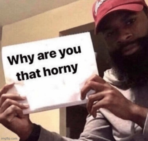 Why are you that horny? meme | image tagged in why are you that horny meme | made w/ Imgflip meme maker