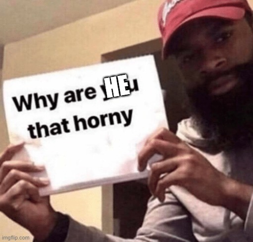 Why are you that horny? meme | HE | image tagged in why are you that horny meme | made w/ Imgflip meme maker