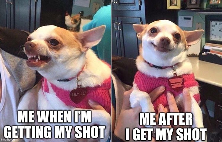 angry dog meme | ME WHEN I’M GETTING MY SHOT; ME AFTER I GET MY SHOT | image tagged in angry dog meme | made w/ Imgflip meme maker