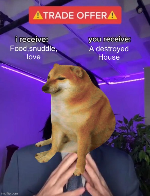 It‘s acceptable | Food,snuddle,
love; A destroyed
House | image tagged in doge,trade offer | made w/ Imgflip meme maker