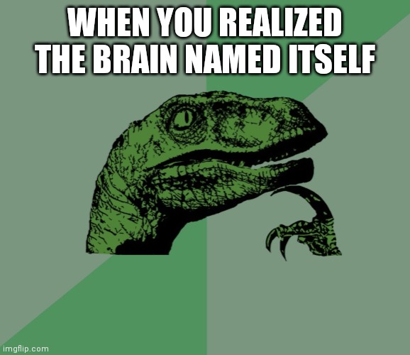dino think dinossauro pensador | WHEN YOU REALIZED THE BRAIN NAMED ITSELF | image tagged in dino think dinossauro pensador | made w/ Imgflip meme maker