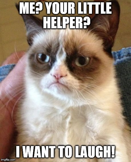 Grumpy Cat Meme | ME? YOUR LITTLE HELPER? I WANT TO LAUGH! | image tagged in memes,grumpy cat | made w/ Imgflip meme maker