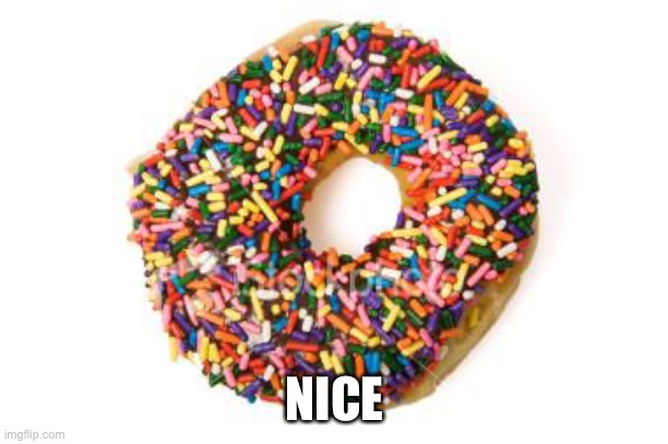 donut | NICE | image tagged in donut | made w/ Imgflip meme maker
