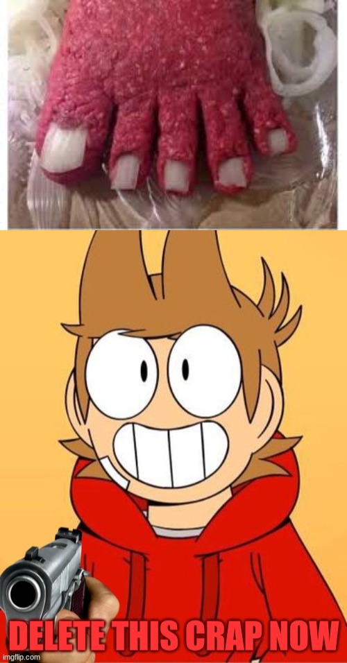 What the heck | image tagged in tord delete this now | made w/ Imgflip meme maker
