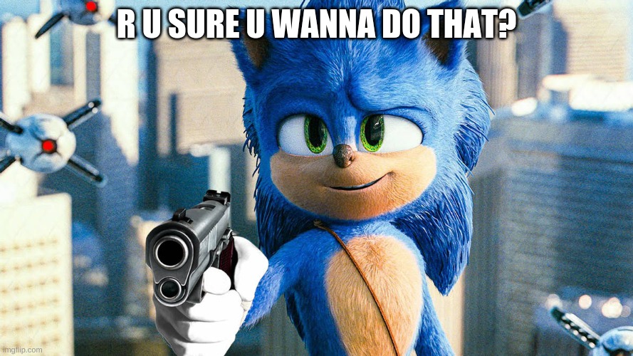 sonic with a gun | R U SURE U WANNA DO THAT? | image tagged in sonic with a gun | made w/ Imgflip meme maker