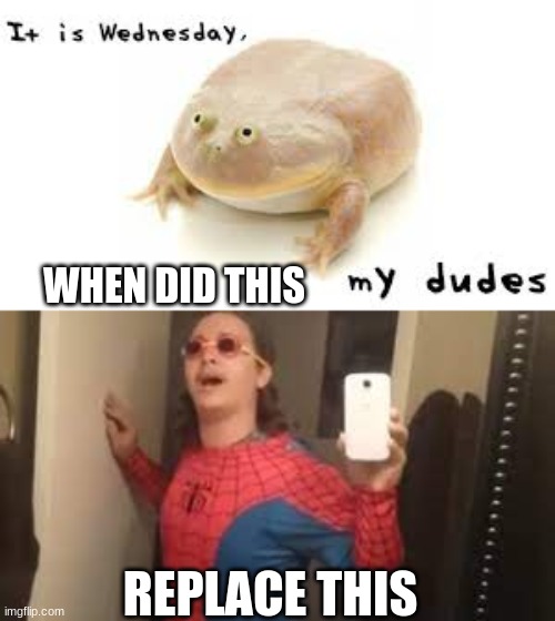 Why | WHEN DID THIS; REPLACE THIS | image tagged in frog | made w/ Imgflip meme maker