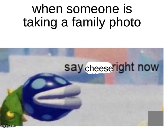 say sike right now | when someone is taking a family photo; cheese | image tagged in say sike right now | made w/ Imgflip meme maker
