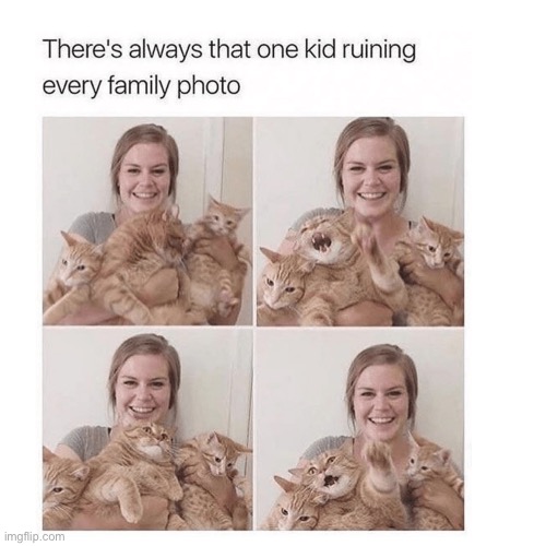 Normally younger cousin! | image tagged in cats,family,photo,memes | made w/ Imgflip meme maker